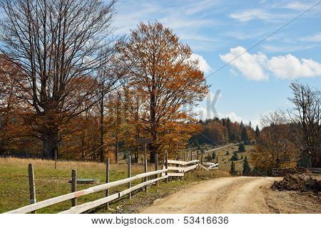 Autumn In Countryside