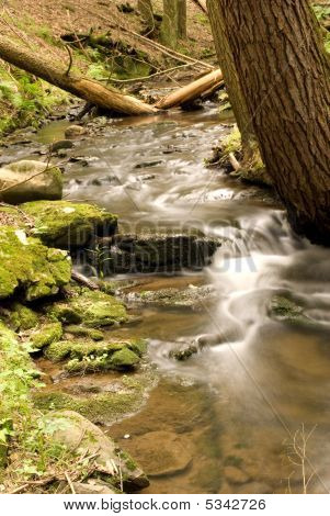 Scenic Gorge Trail