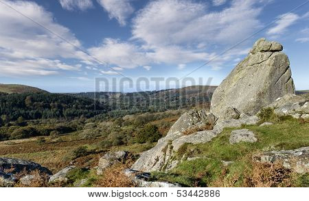 Dartmoor View