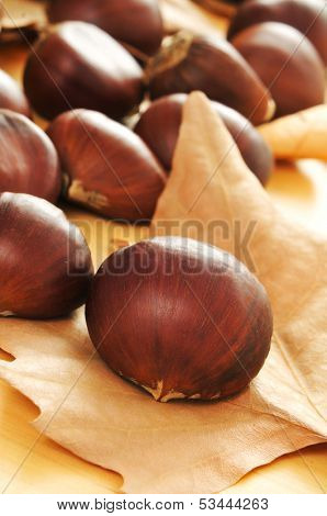 a pile of chestnuts with some autumn leaves on the background