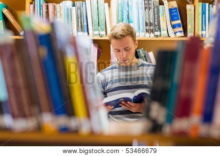 Young male student reading a book amid bookshelves in the college library
