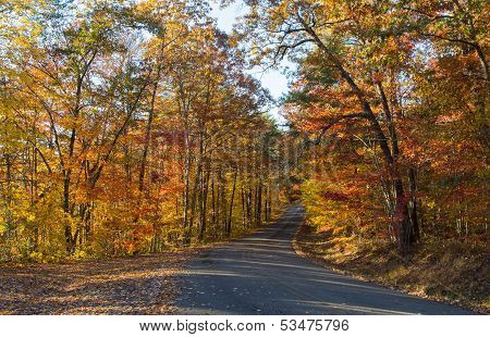 Late Afternoon On The Little River Canyon Parkway