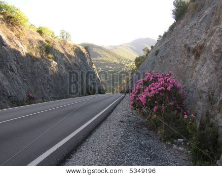 Ørken Highway