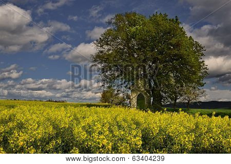 Chapel under the lime trees