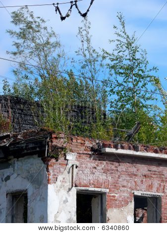 Ruins. Arkhangelsk.