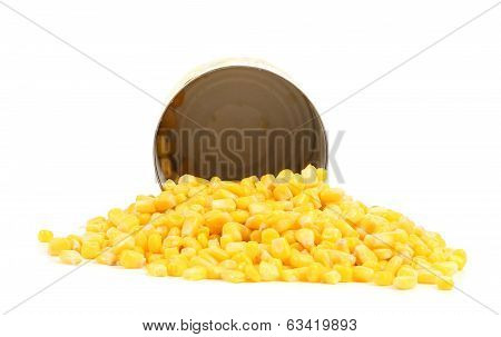 Fresh corn in can.