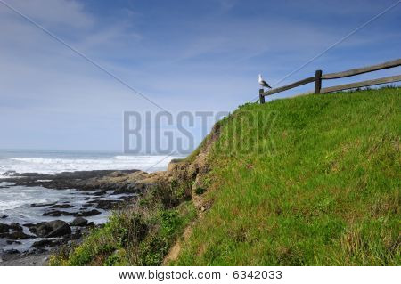 Océano Pacífico en Oregon