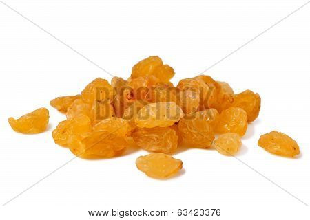 raisin