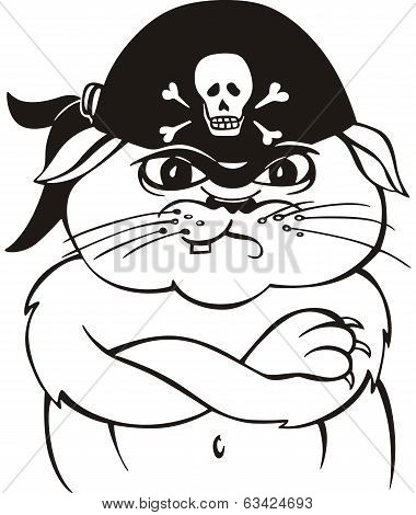 Pirate Cat