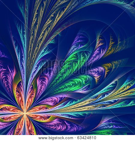 Fractal, Frost, Ice, Frosty, Feelers, Ornament, Tracery, Pattern, Flora, Flower, Stained-glass, Wind