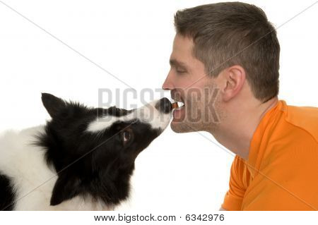 bordercollie