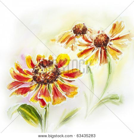 Painted watercolor card with helenium flowers