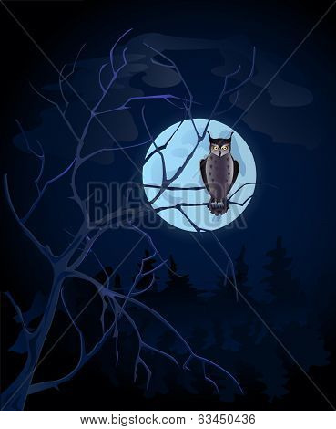 Full Moon