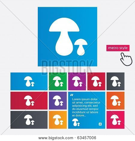 Mushroom sign icon. Boletus mushroom symbol.
