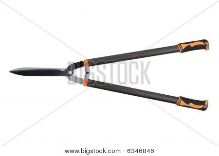 Gräs Shear