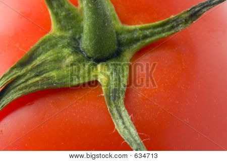 Nahaufnahme von Tomaten