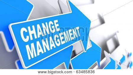 Change Management on Blue Arrow.