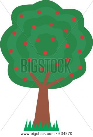 Apple Tree