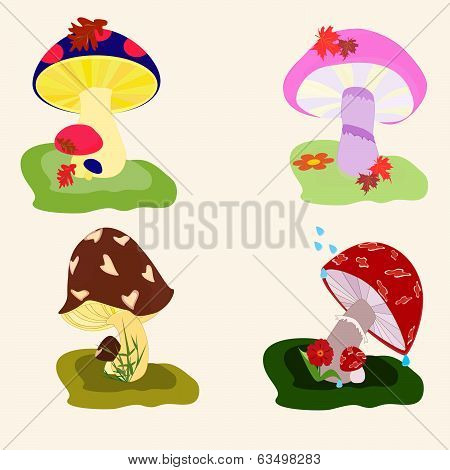 Mushroom Drawings