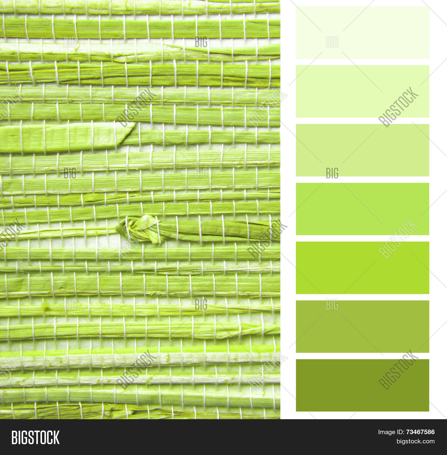 Grasscloth Wallpaper Image & Photo (Free Trial) Bigstock