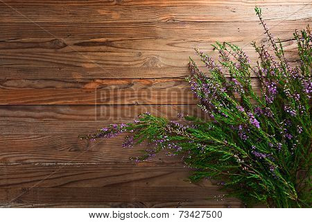 Heather
