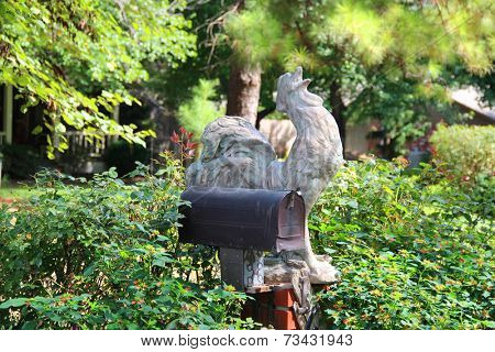 Rooster near a mail box