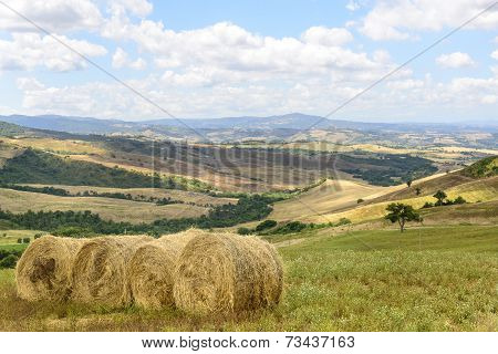 Maremma (tuscany, Italy)