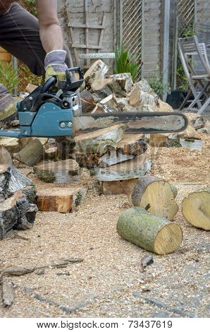 Man Sawing Logs in His Back Yard