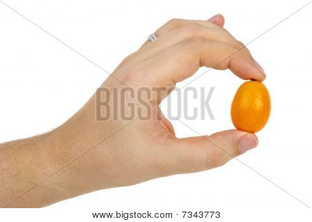 Kumquat Obst in der hand