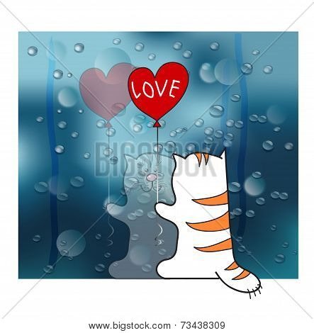 reflected in the rainy window