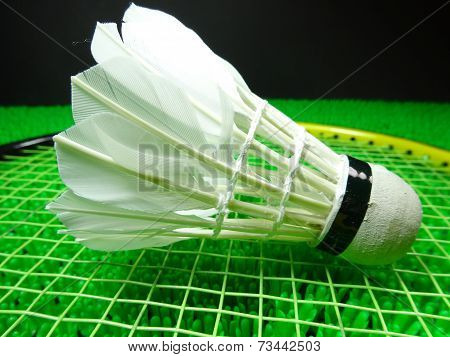 Shuttlecock On A Badminton Racket