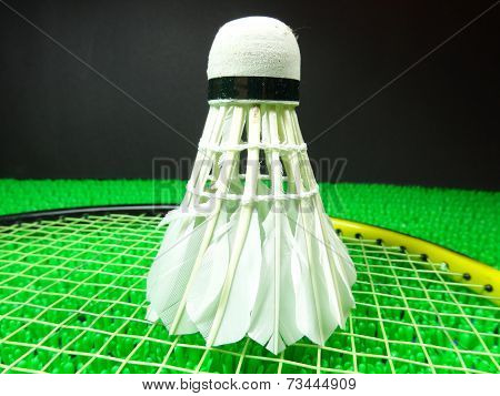 Shuttlecock On A Badminton Racket