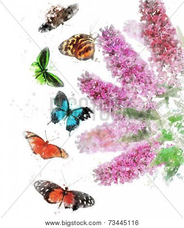 Watercolor Digital Painting Of Buddleja (Butterfly Bush) With Butterflies