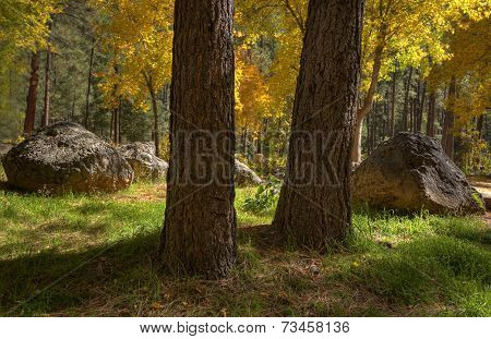 Peek of Autumn Color