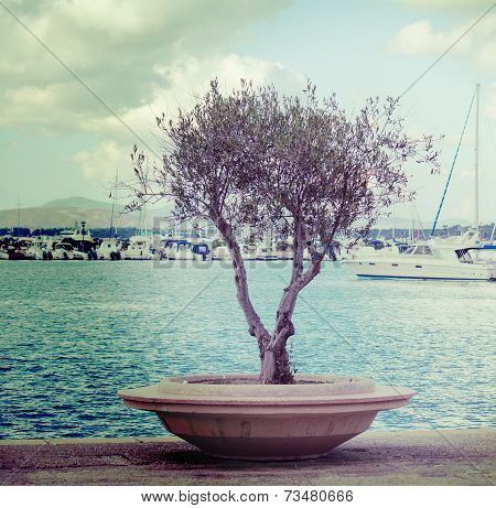 Vintage Tree