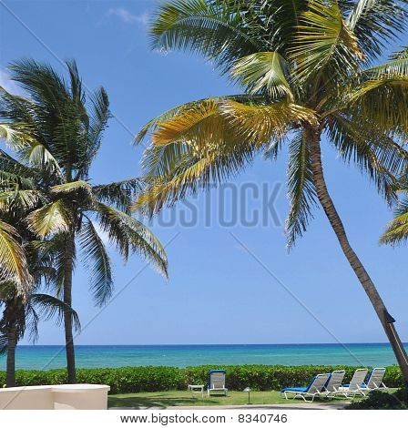 Paradise