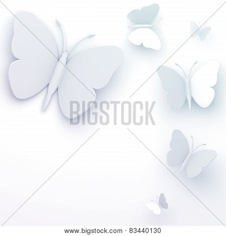 White Butterflies