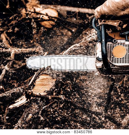 Man Sawing A Log In His Back Yard