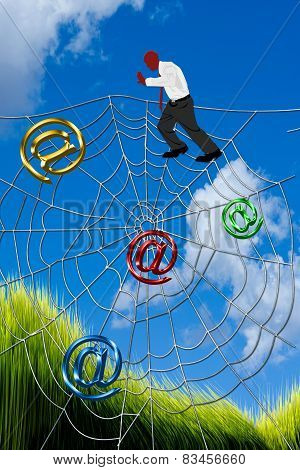 Climbing Spider Web.
