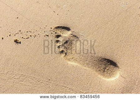 Footprint