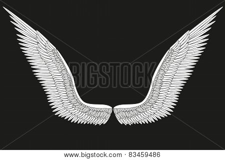Sketch open white angel wings. Vector.