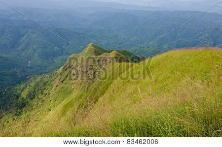 Mountains And Jungle With Mist In Foggy Weather In Thailand