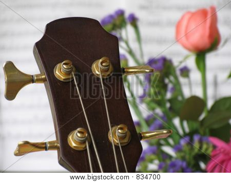 ของเพลงเงา