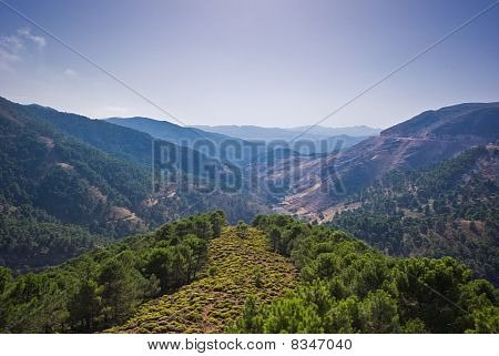베 르 제 Und Blauer Himmel