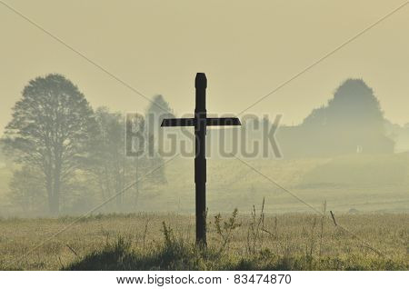 Grain In The Fields. Ripening Ears. Harvest And Grain Into Flour. Farms And Agriculture.