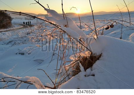 Sunset over winter landscape
