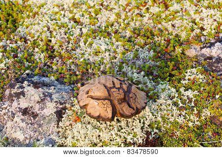 Magic Symbol Scandinavian Special Mushroom