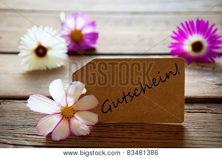 Label With German Text Gutschein With Cosmea Blossoms