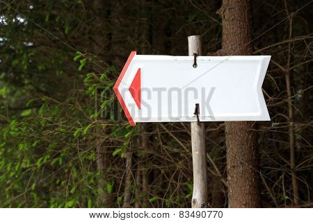 Forest Sign In The Form Of An Arrow