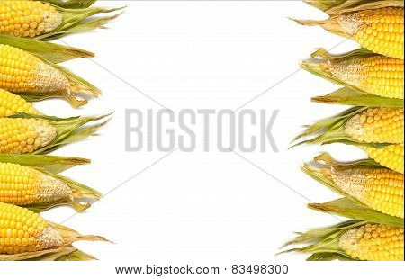 Fresh Organic Corn ,food Background